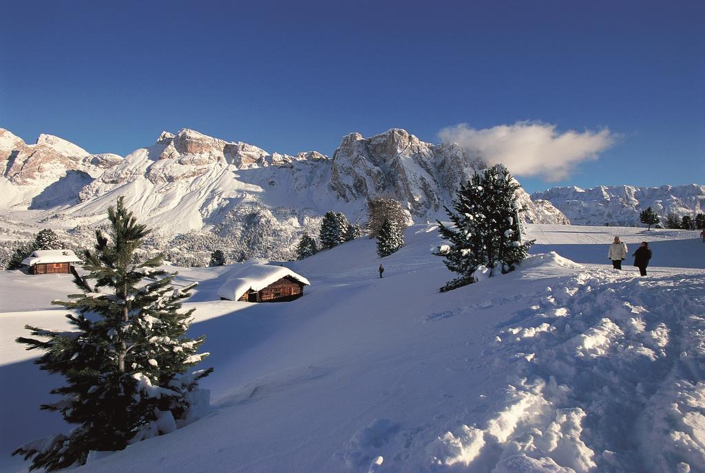Apartments La Baita Santa Cristina Val Gardena ภายนอก รูปภาพ